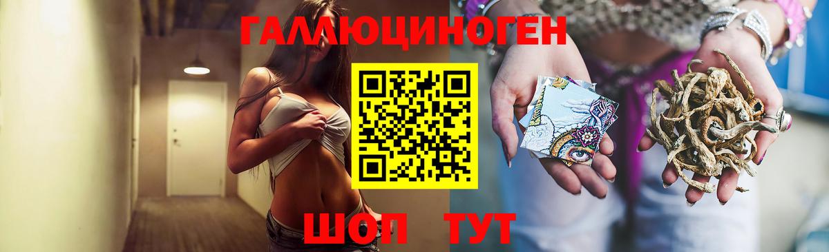 Псилоцибиновые грибы мухоморы Можайск